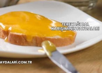 Tereyağı Bal Karışımının Faydaları