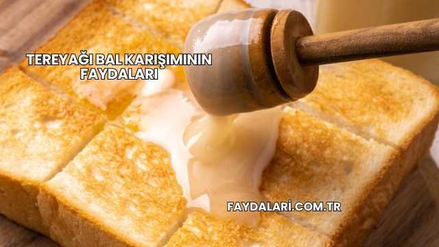Tereyağı Bal Karışımının Faydaları