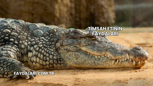 Timsah Etinin Faydaları
