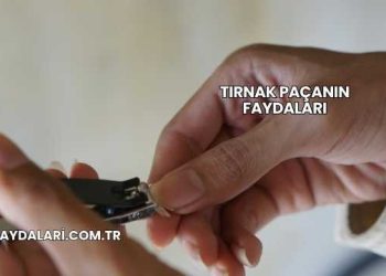 Tırnak Paçanın Faydaları