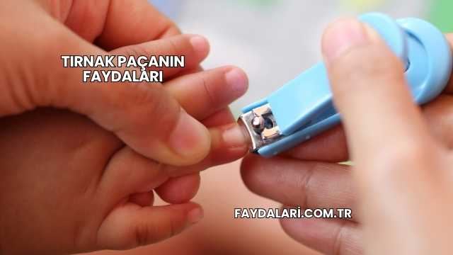 Tırnak Paçanın Faydaları
