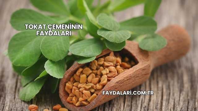 Tokat Çemeninin Faydaları