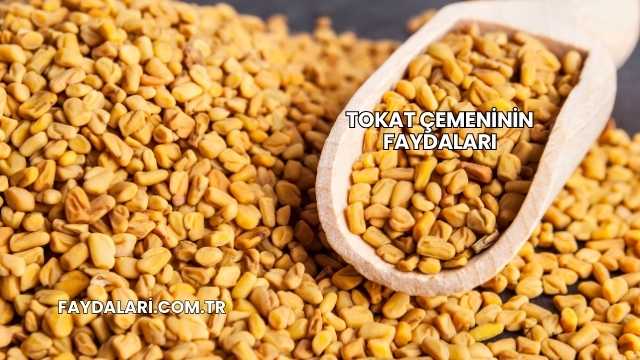 Tokat Çemeninin Faydaları
