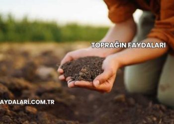 Toprağın Faydaları