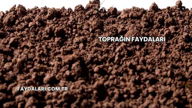 Toprağın Faydaları