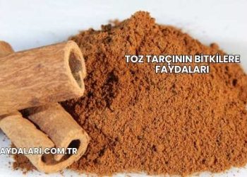 Toz Tarçının Bitkilere Faydaları