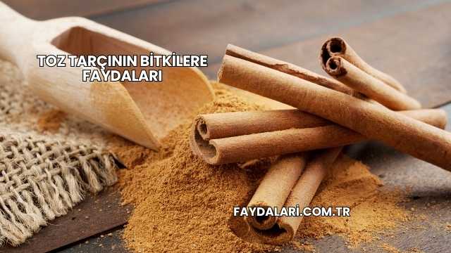 Toz Tarçının Bitkilere Faydaları