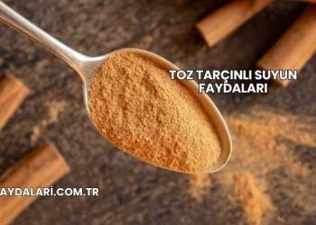 Toz Tarçınlı Suyun Faydaları
