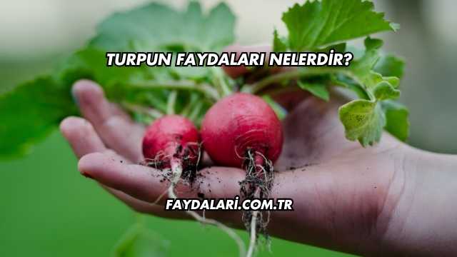 Turpun Faydaları Nelerdir?