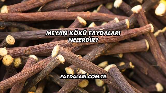 Meyan Kökü Faydaları Nelerdir?