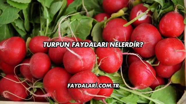 Turpun Faydaları Nelerdir?