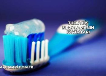 Tuzla Diş Fırçalamanın Faydaları