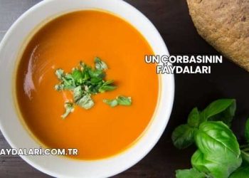 Un Çorbasının Faydaları