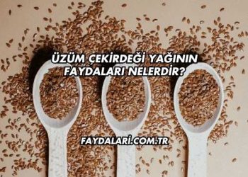 Üzüm Çekirdeği Yağının Faydaları Nelerdir?