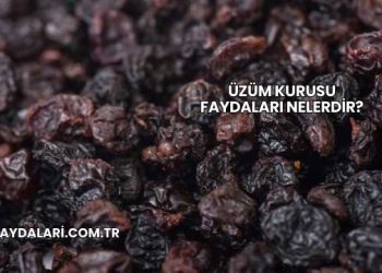 Üzüm Kurusu Faydaları Nelerdir?