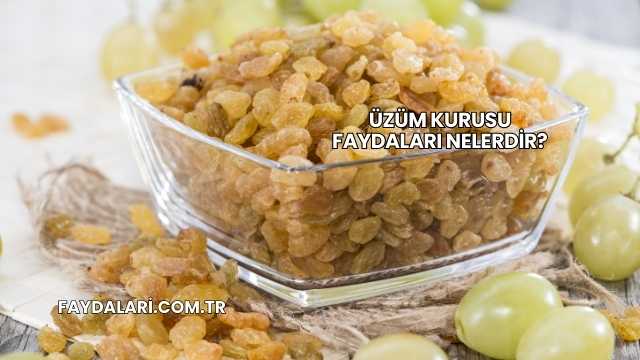Üzüm Kurusu Faydaları Nelerdir?
