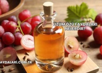 Üzüm Özü Faydaları Nelerdir?