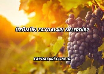 Üzümün Faydaları Nelerdir?