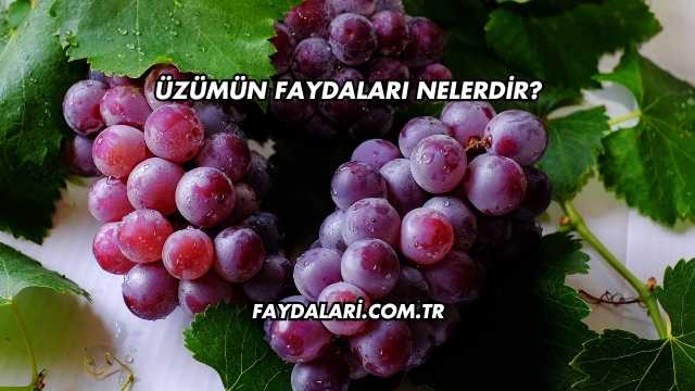 Üzümün Faydaları Nelerdir?
