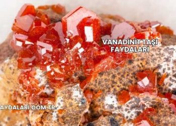Vanadinit Taşı Faydaları