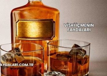 Viski İçmenin Faydaları