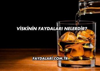 Viskinin Faydaları Nelerdir?