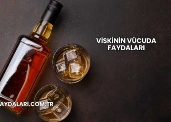 Viskinin Vücuda Faydaları