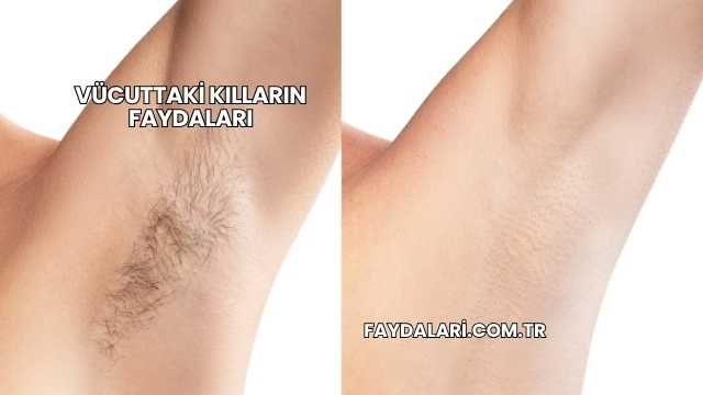 Vücuttaki Kılların Faydaları