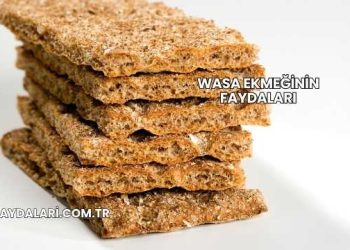 Wasa Ekmeğinin Faydaları
