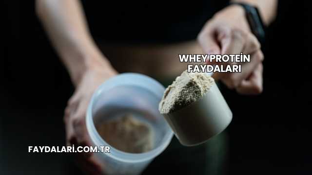 Whey Protein Faydaları