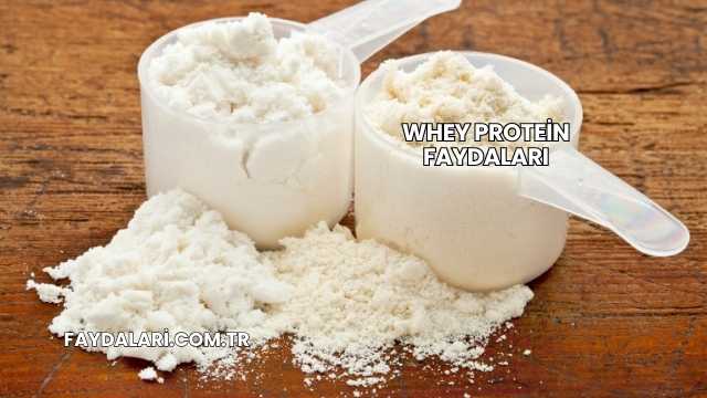 Whey Protein Faydaları