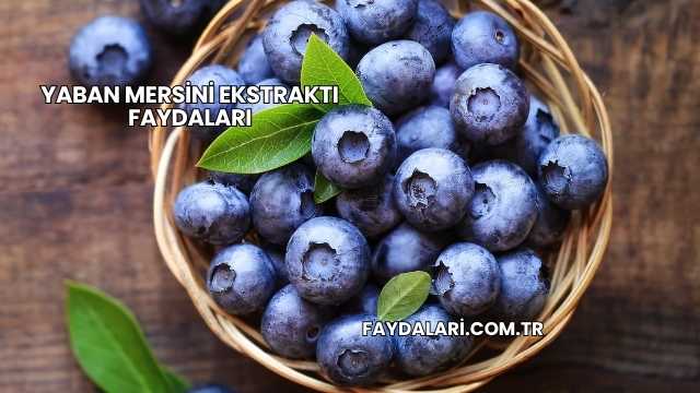 Yaban Mersini Ekstraktı Faydaları