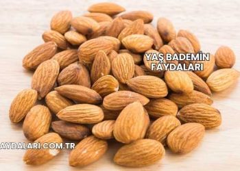 Yaş Bademin Faydaları