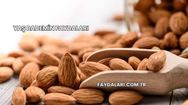 Yaş Bademin Faydaları