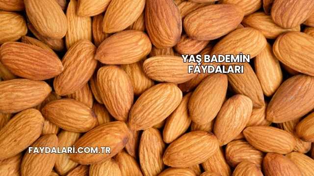 Yaş Bademin Faydaları