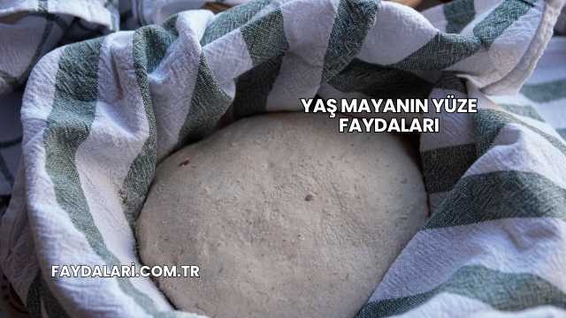 Yaş Mayanın Yüze Faydaları