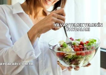 Yavaş Yemek Yemenin Faydaları