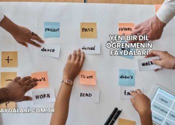 Yeni Bir Dil Öğrenmenin Faydaları