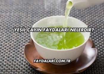 Yeşil Çayın Faydaları Nelerdir?