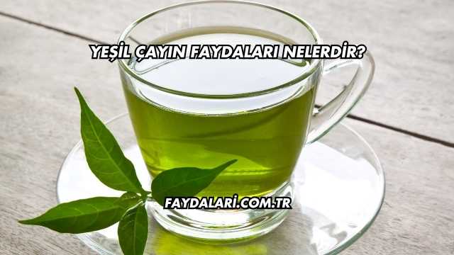 Yeşil Çayın Faydaları Nelerdir?