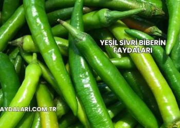Yeşil Sivri Biberin Faydaları