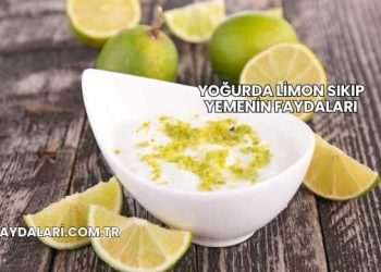 Yoğurda Limon Sıkıp Yemenin Faydaları