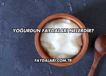 Yoğurdun Faydaları Nelerdir?