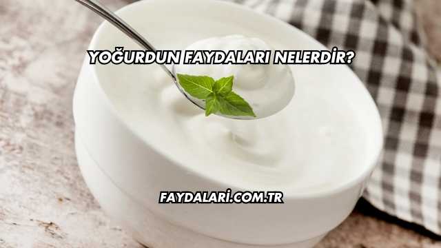 Yoğurdun Faydaları Nelerdir?