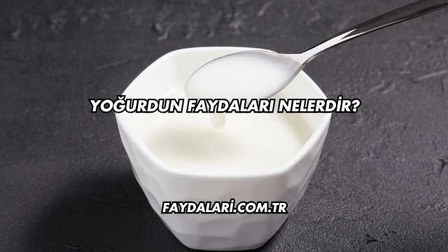 Yoğurdun Faydaları Nelerdir?