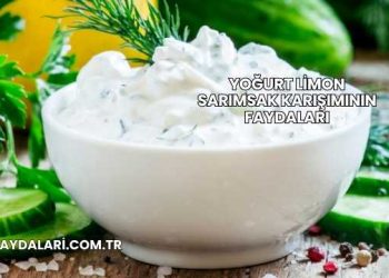 Yoğurt Limon Sarımsak Karışımının Faydaları