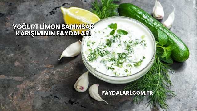 Yoğurt Limon Sarımsak Karışımının Faydaları