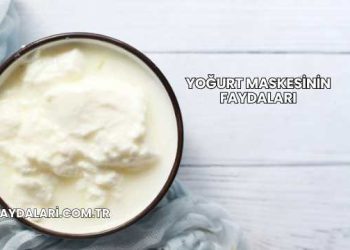 Yoğurt Maskesinin Faydaları