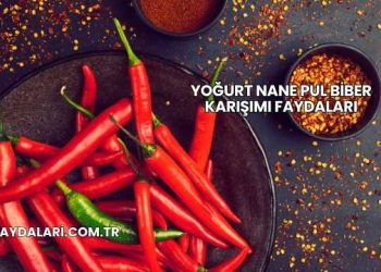Yoğurt Nane Pul Biber Karışımı Faydaları