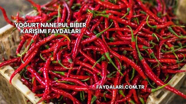 Yoğurt Nane Pul Biber Karışımı Faydaları